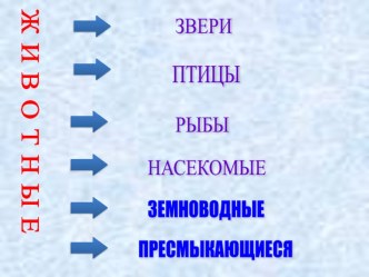 Окружающий мир по теме: Охрана животных. план-конспект урока по окружающему миру (3 класс)