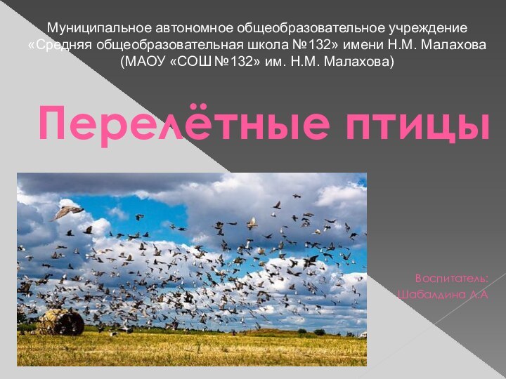 Перелётные птицыВоспитатель:Шабалдина Л.АМуниципальное автономное общеобразовательное учреждение«Средняя общеобразовательная школа №132» имени Н.М. Малахова(МАОУ