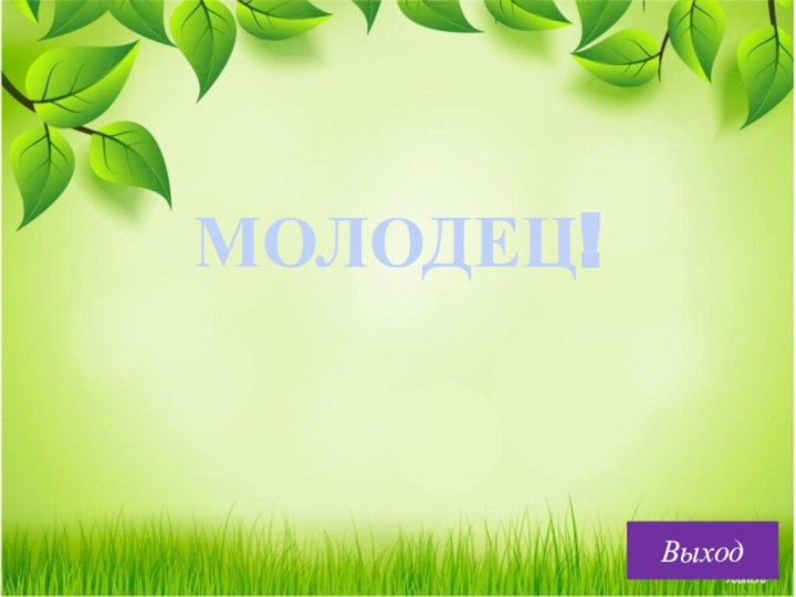 МОЛОДЕЦ!Выход