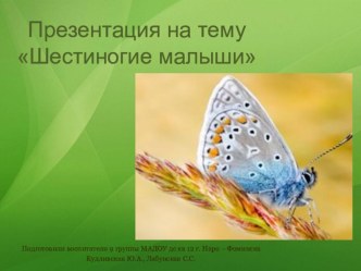 Конспект НОД по познавательному развитию в средней группе. Тема: Шестиногие малыши план-конспект занятия по окружающему миру (средняя группа)