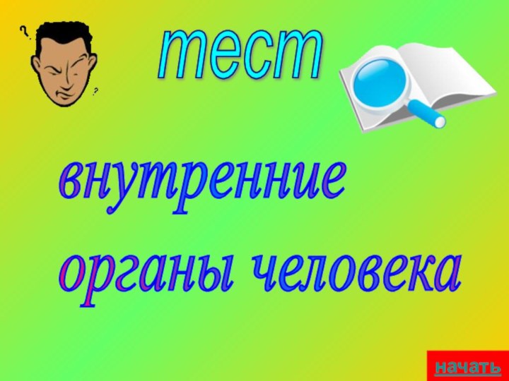 тествнутренние  органы человеканачать