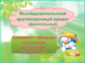 Эксперимент-наблюдение за луком опыты и эксперименты по окружающему миру (средняя группа) по теме