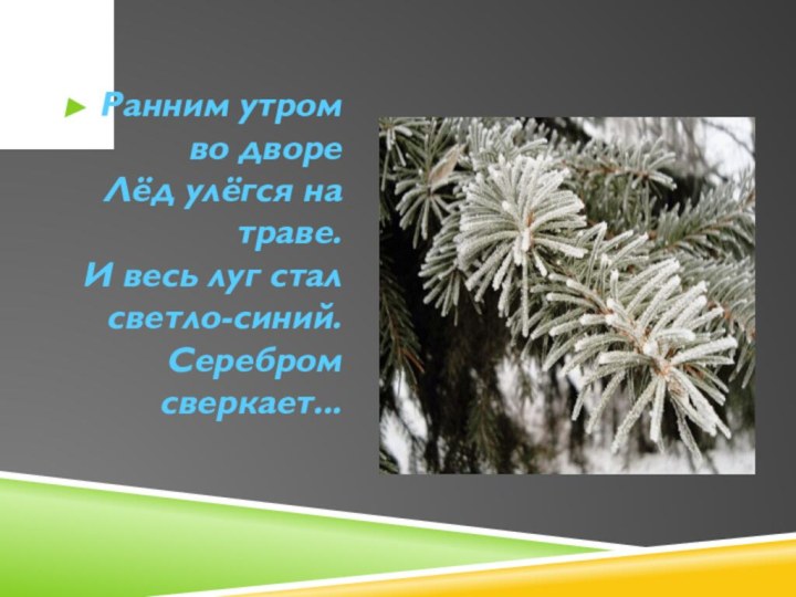 Ранним утром во дворе Лёд улёгся на траве. И весь луг стал светло-синий. Серебром сверкает...