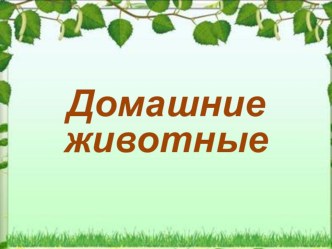 Презентация к занятию по окружающему миру в средней группе : Домашние животные презентация к уроку по окружающему миру (средняя группа)