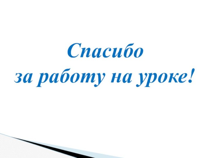 Спасибо за работу на уроке!