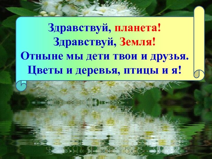 Здравствуй, планета! Здравствуй, Земля! Отныне мы дети твои и друзья. Цветы и