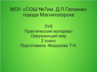 лук, 2 класс окружающий мир, практический материал презентация к уроку по окружающему миру (2 класс)