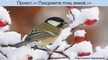 Проект Покорми птиц зимой. проект (младшая группа)