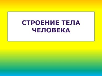 Путешествие в страну тела презентация к уроку по окружающему миру (средняя группа) по теме