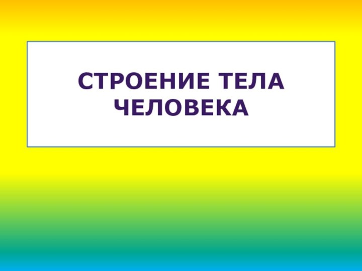 Строение тела человека