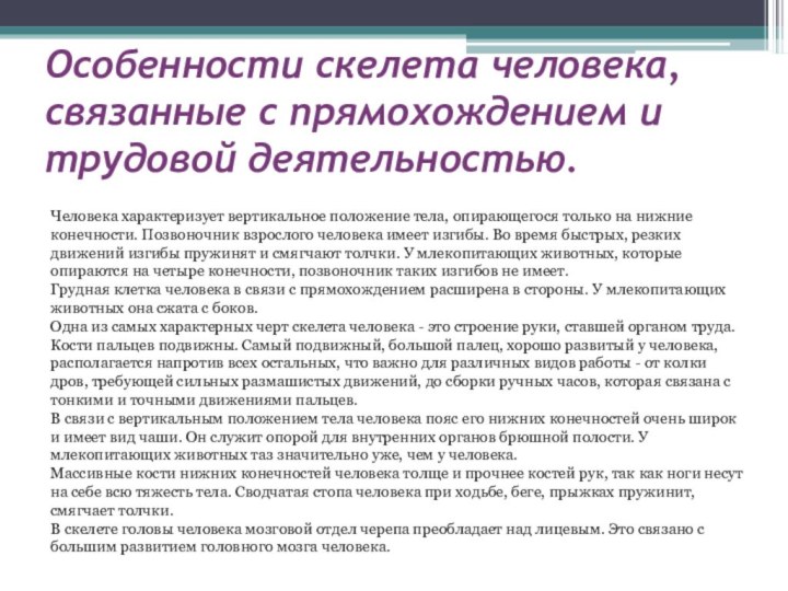 Особенности скелета человека, связанные с прямохождением и трудовой деятельностью.Человека характеризует вертикальное положение