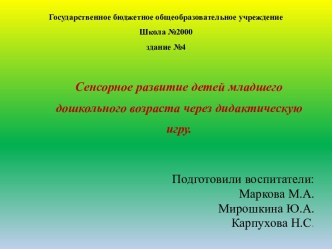 Сенсорное развитие детей младшего дошкольного возраста через дидактическую игру методическая разработка (младшая группа)