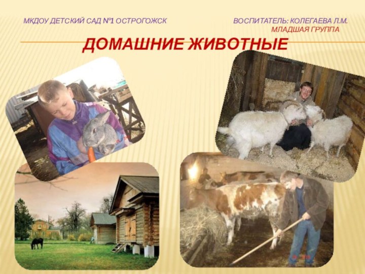 МКДОУ детский сад №1 Острогожск