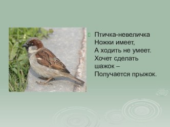 С.Я. Маршак Где обедал, воробей? презентация к уроку по чтению (1 класс) по теме