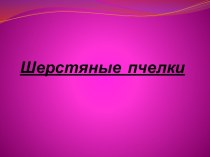 шерстяные пчелки презентация к уроку по окружающему миру (подготовительная группа)